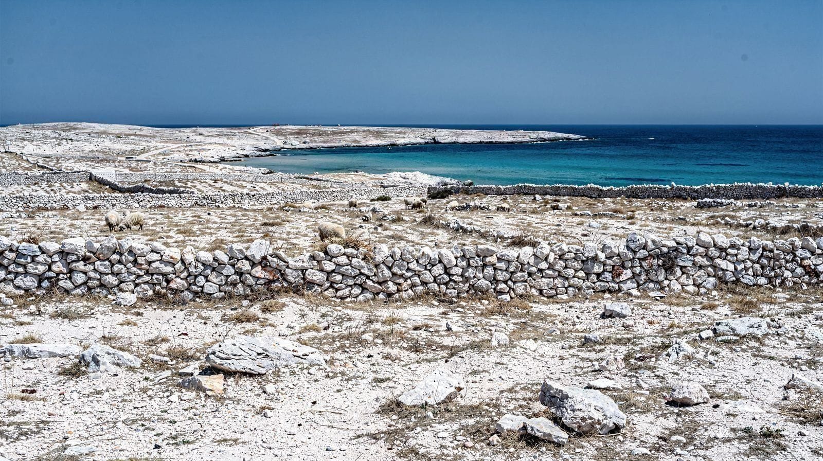 Pag & Nin Tours