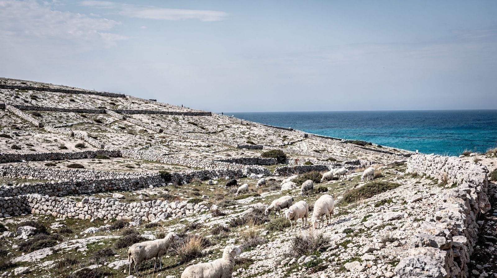 Pag Island