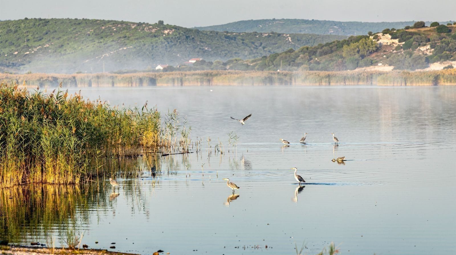 Vransko Lake