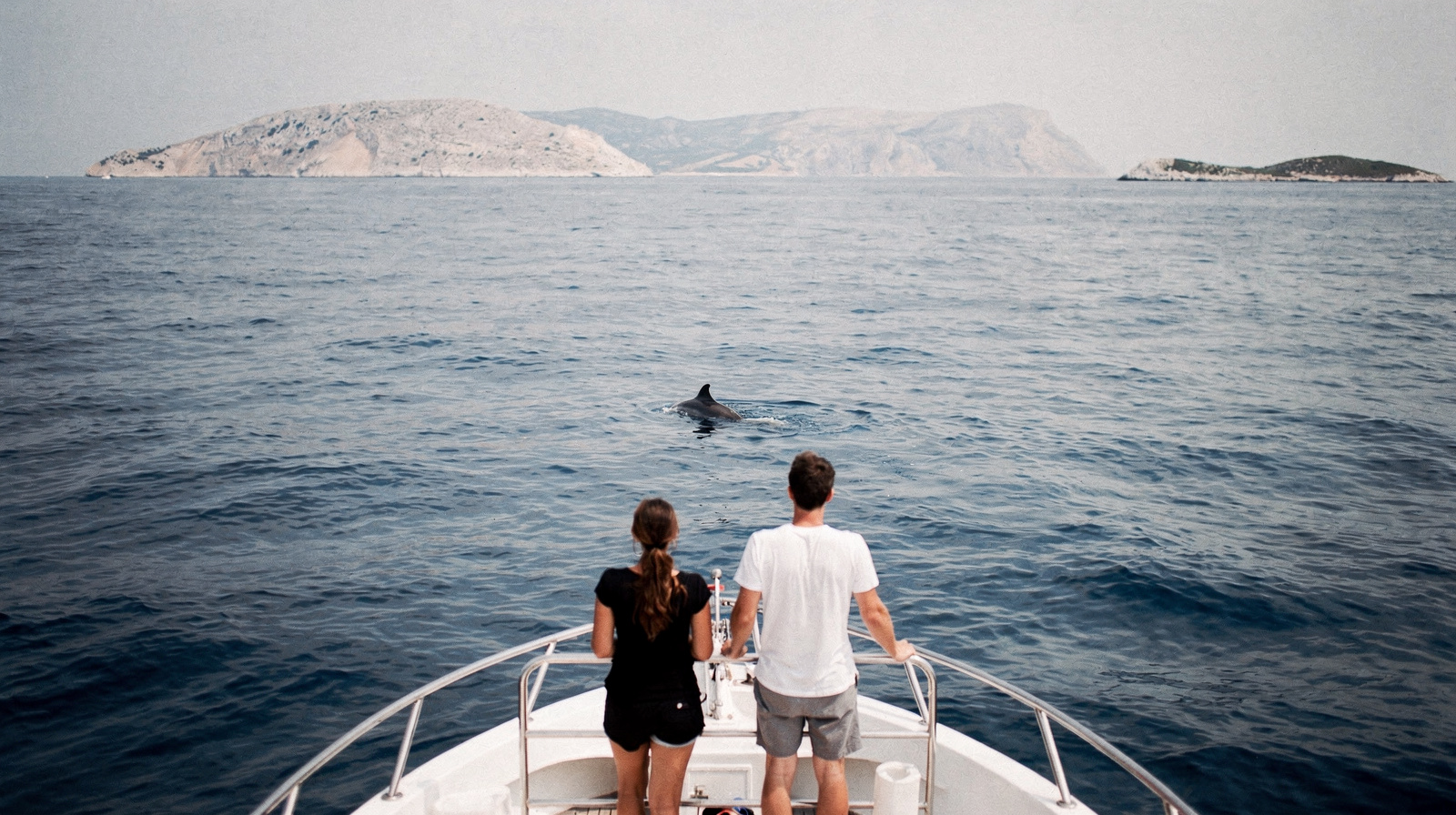 Dolphin Watching Tours from Biograd na Moru