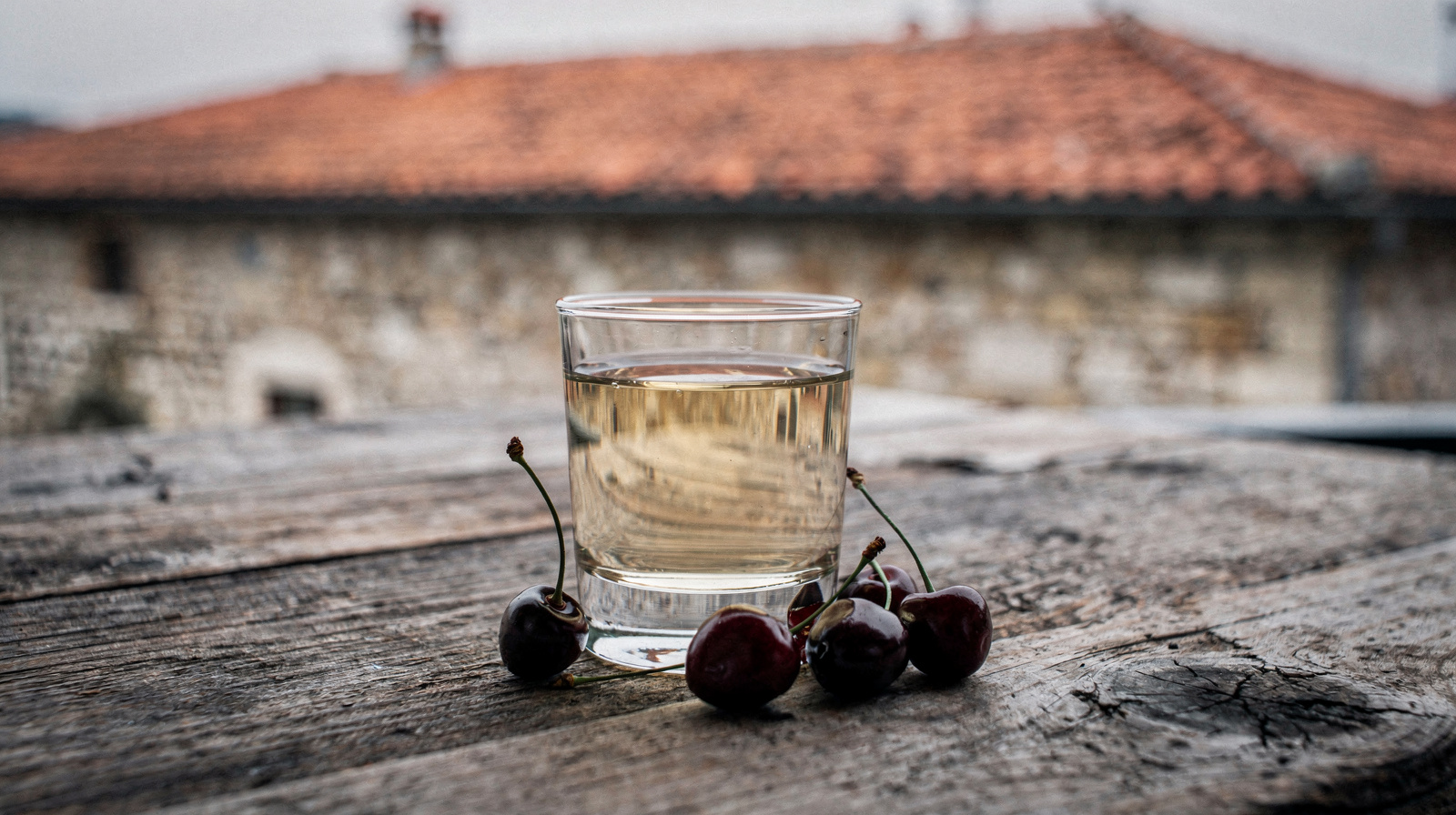 Maraschino Liqueur Tasting in Zadar: A Local Food Guide