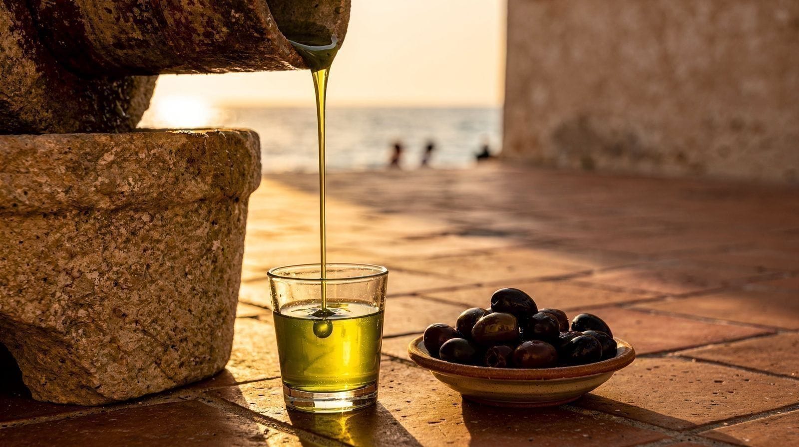 Wine and Olive Oil Tasting Near Zadar