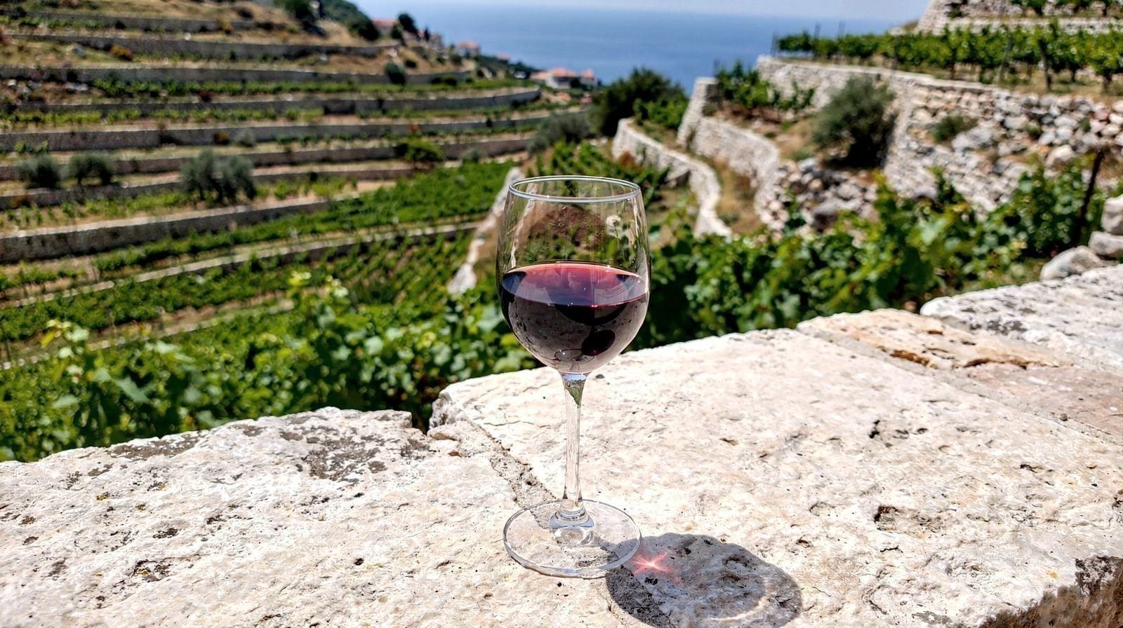 A Zadar Food and Wine Tour: Maraschino, Markets and Old Town Flavors