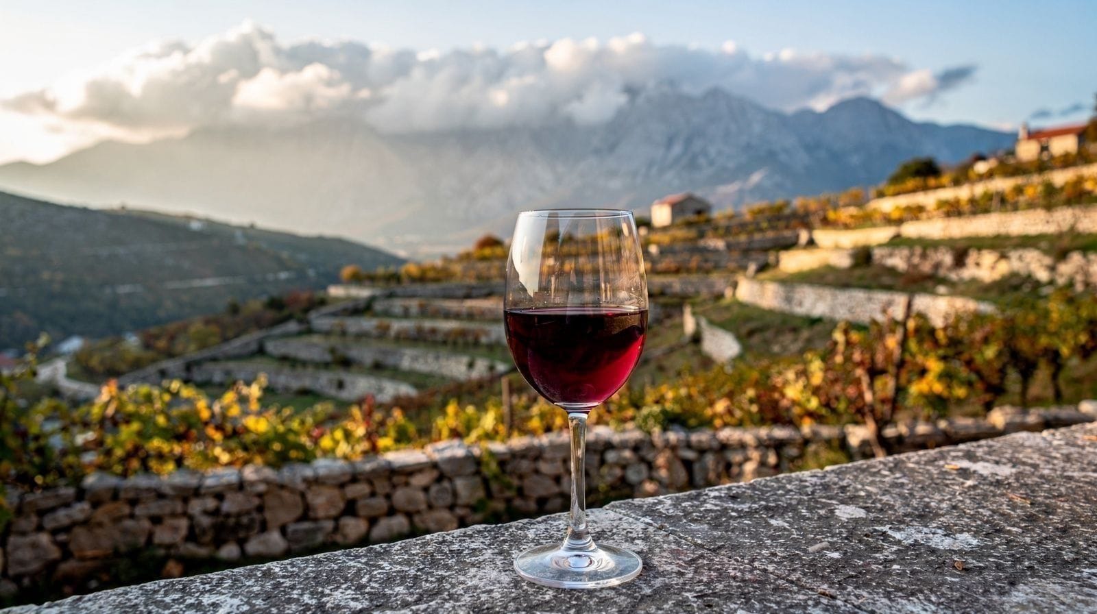 4 Days of Food and Wine Around Zadar